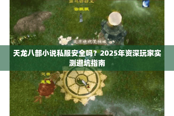 天龙八部小说私服安全吗？2025年资深玩家实测避坑指南