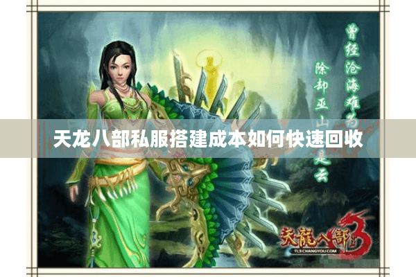 天龙八部私服搭建成本如何快速回收