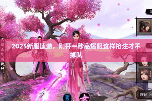 2025新服速递，刚开一秒高爆服这样抢注才不掉队