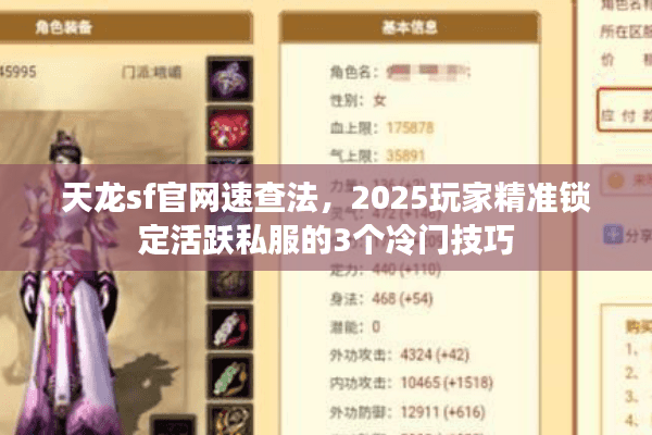 天龙sf官网速查法,2025玩家精准锁定活跃私服的3个冷门技巧 天龙sf官网速查法,2025玩家精准锁定活跃私服的3个冷门技巧