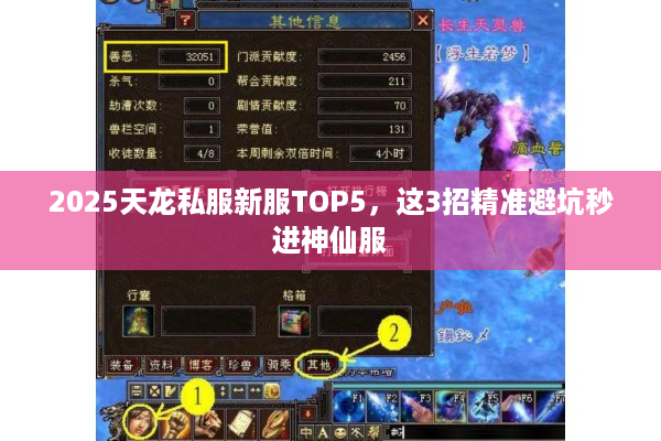 2025天龙私服新服TOP5，这3招精准避坑秒进神仙服