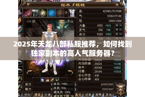 2025年天龙八部私服推荐，如何找到独家副本的高人气服务器？